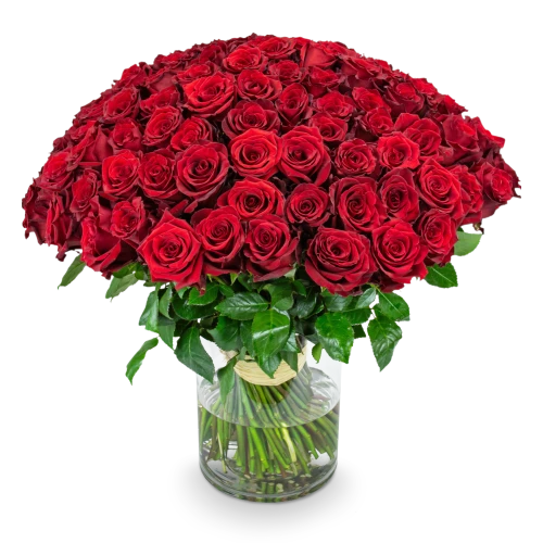 Kytice rudých růží